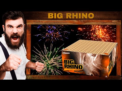 Big Rhino